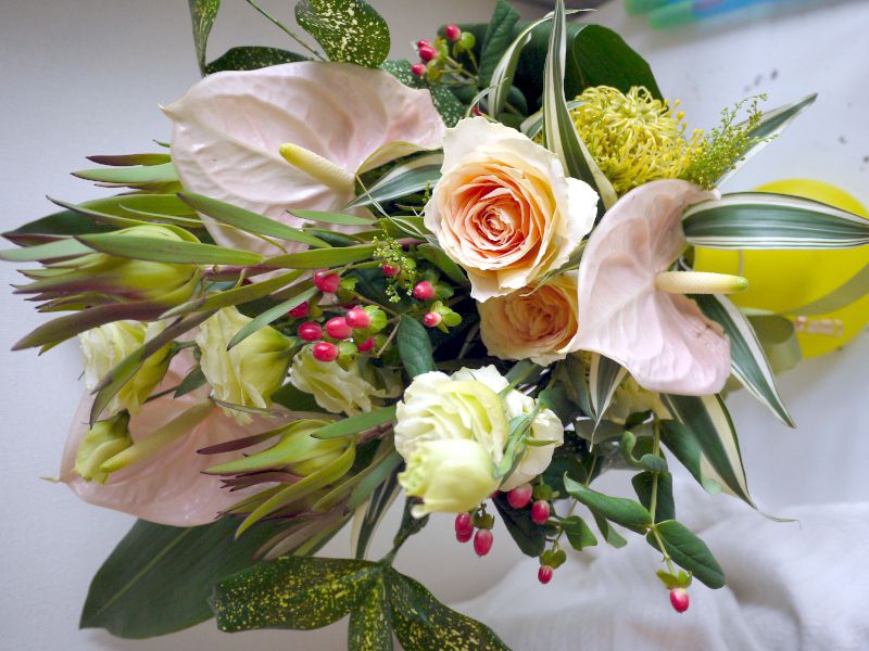 �q�y���J���E�A���h���T�G�}��